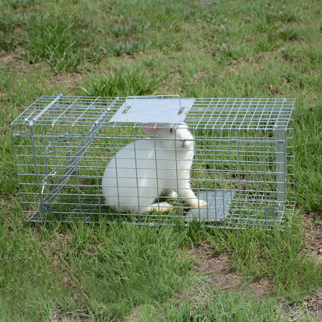 Rabbit Cage Wire - Automatic Metal Mouse Cage Trap Multi-Catch