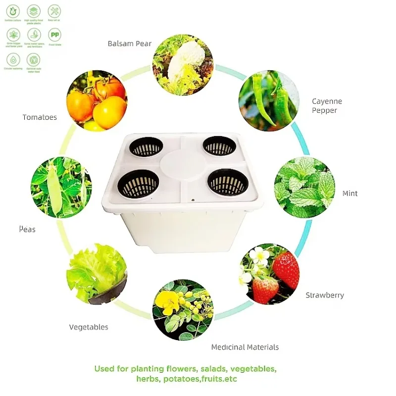 Hydroponic Farming Agriculture - 2 Holes 4 Holes Agricultural Hydroponics