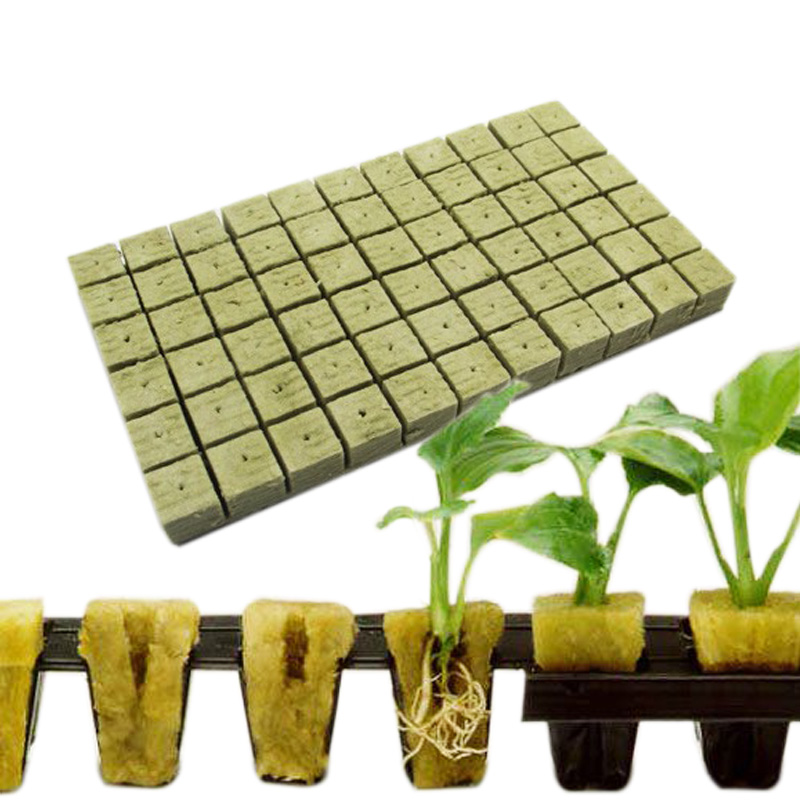 Hydroponic Farming Agriculture - Hydroponic Greenhouse Rock Growing Wool 30