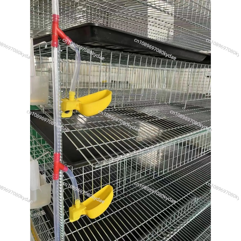 H Type Battery Layer Quail Bre - Rabbit Cage Wire avis et prix