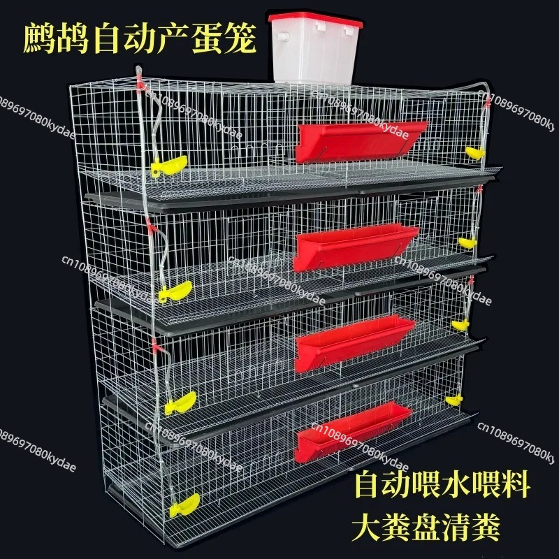 H Type Battery Layer Quail Bre - Rabbit Cage Wire avis et prix