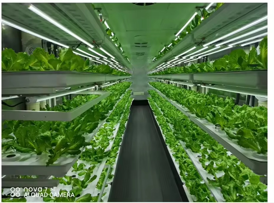 Vertical Farm Hydroponic Tower - Hydroponic Farming Agriculture avis et prix
