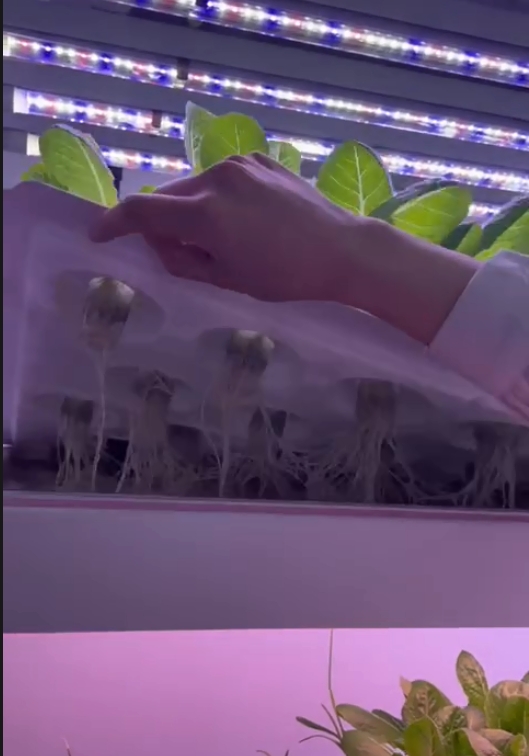 Vertical Farm Hydroponic Tower - Hydroponic Farming Agriculture avis et prix
