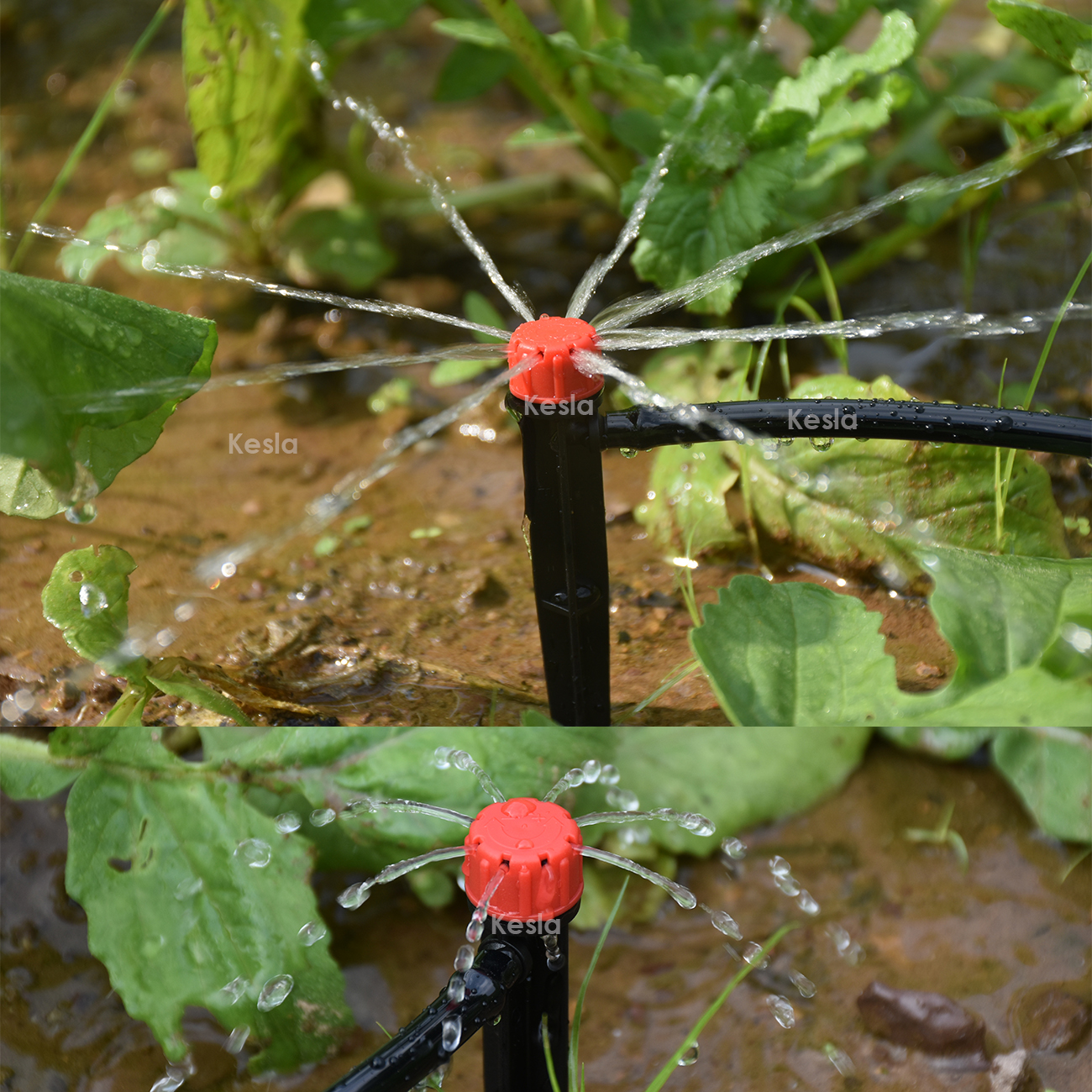 KESLA Garden Watering Drip Irr - Irrigation Drip Tape avis et prix