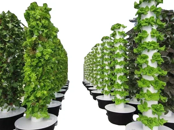 Agricultural greenhouses verti - Hydroponic Farming Agriculture avis et prix