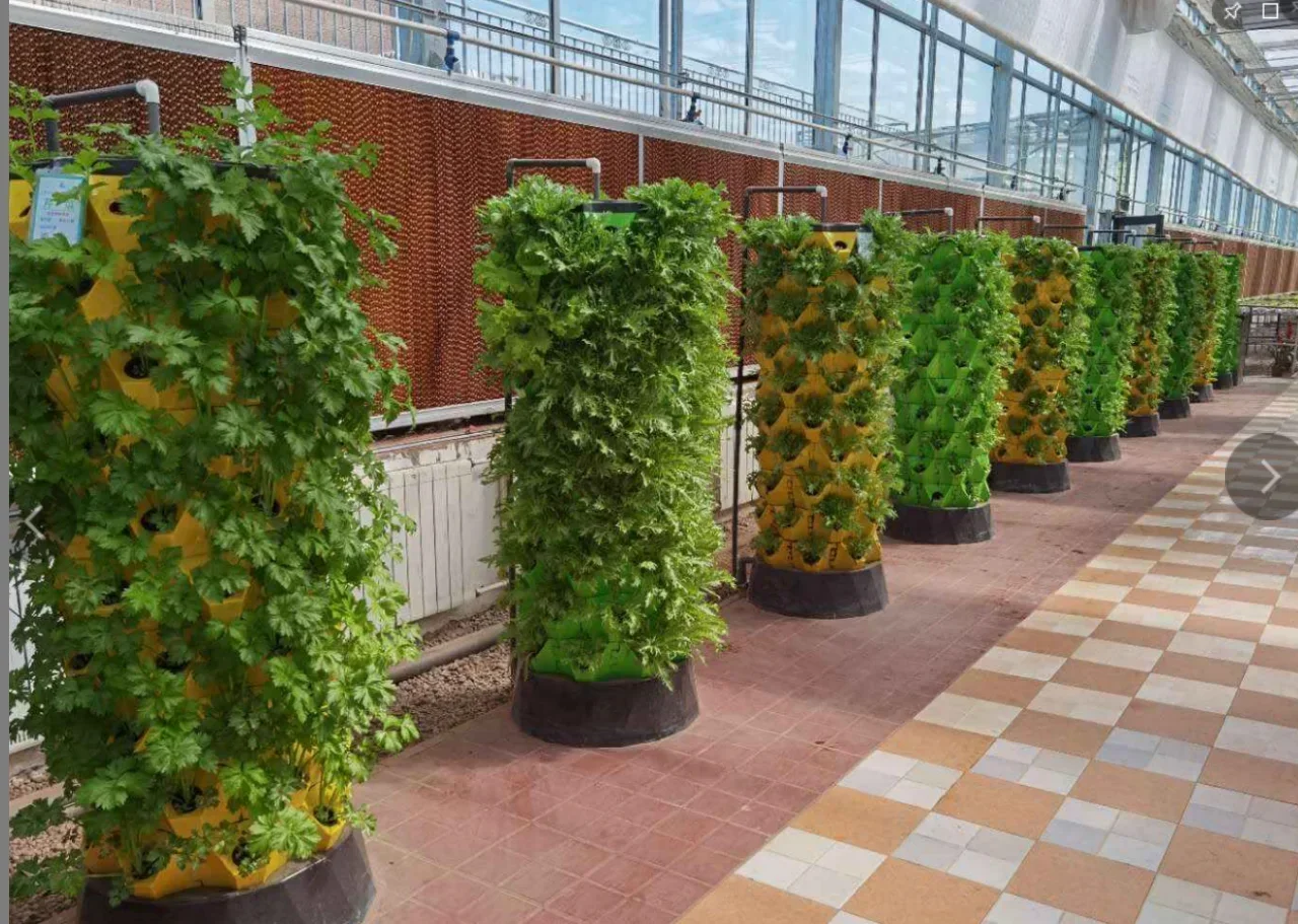 Agricultural greenhouses verti - Hydroponic Farming Agriculture avis et prix