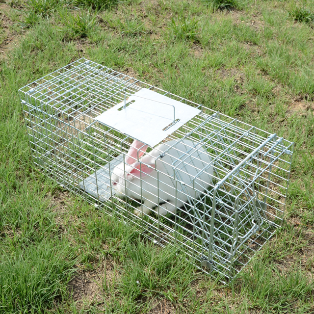 Automatic Metal Mouse Cage Tra - Rabbit Cage Wire avis et prix