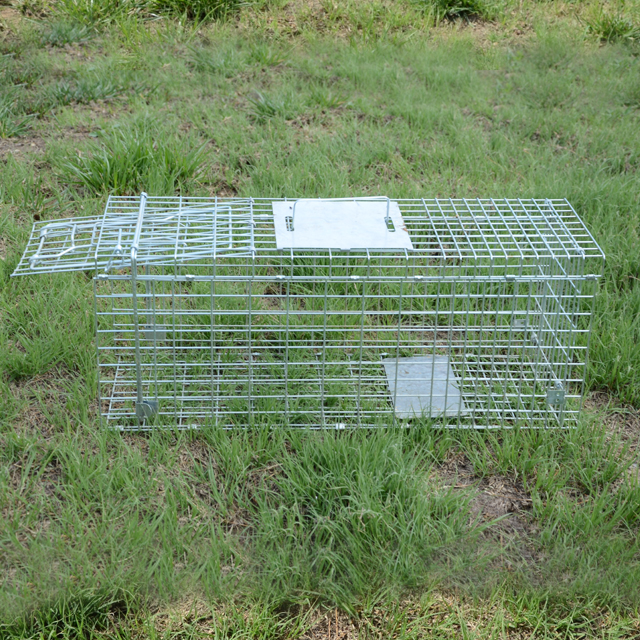Automatic Metal Mouse Cage Tra - Rabbit Cage Wire avis et prix