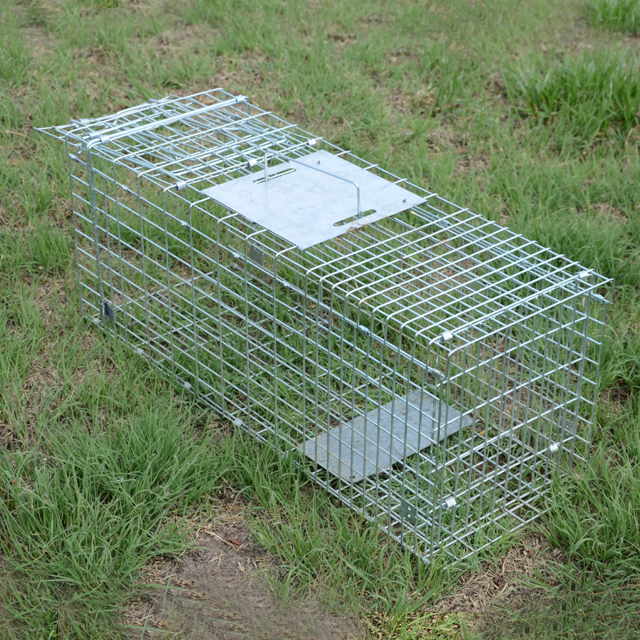 Automatic Metal Mouse Cage Tra - Rabbit Cage Wire avis et prix