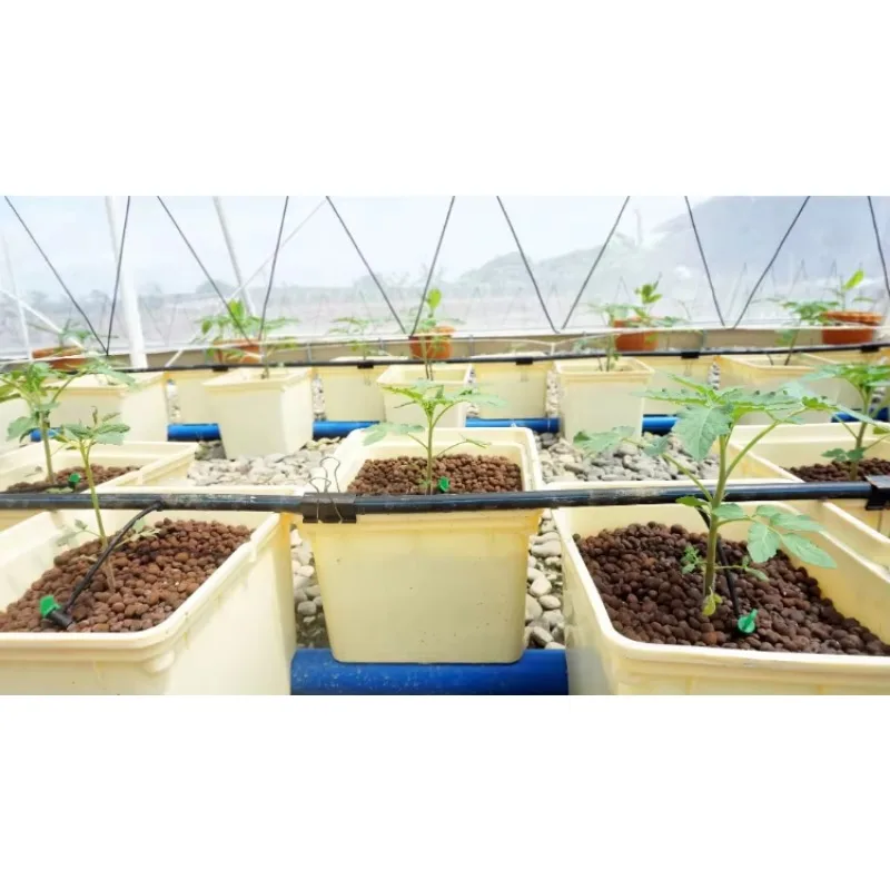 2 Holes 4 Holes Agricultural H - Hydroponic Farming Agriculture avis et prix