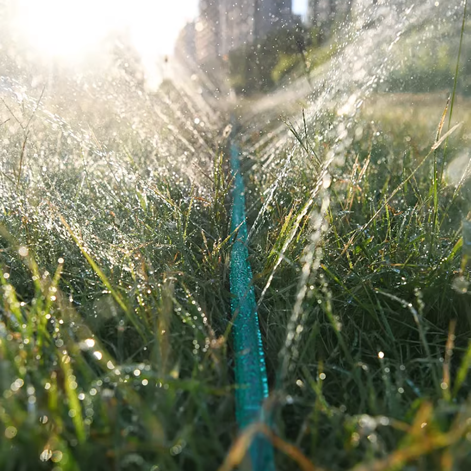 3/4.5/7.5/10/15M Porous Soaker - Irrigation Drip Tape avis et prix