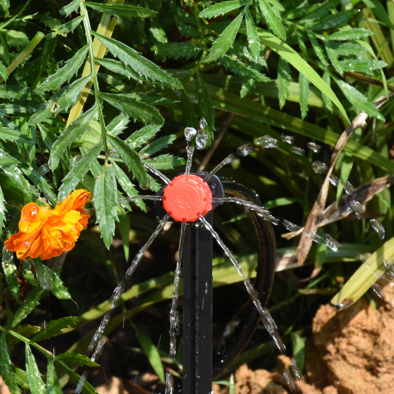 KESLA 30-800X Garden Drip Irri - Irrigation Drip Tape avis et prix