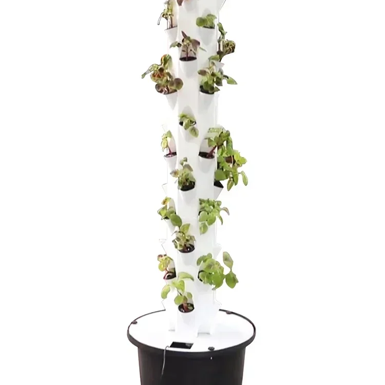 High quality agricultural home - Hydroponic Farming Agriculture avis et prix