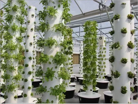 High quality agricultural home - Hydroponic Farming Agriculture avis et prix