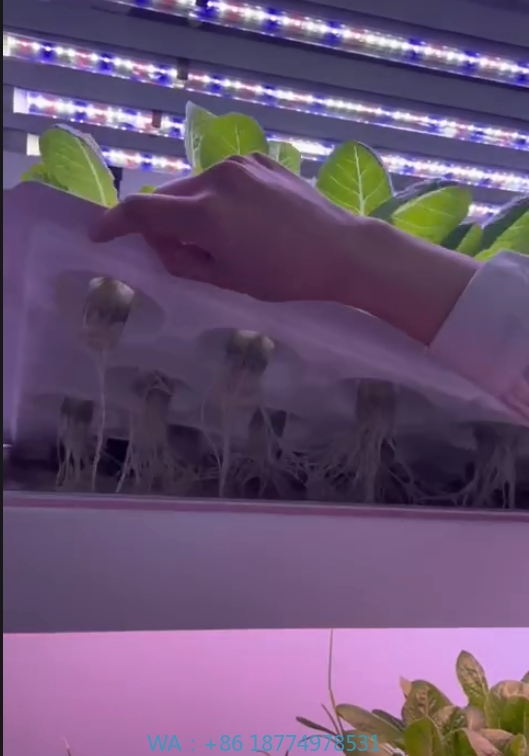 f Greenhouse Agricultural Equi - Hydroponic Farming Agriculture avis et prix
