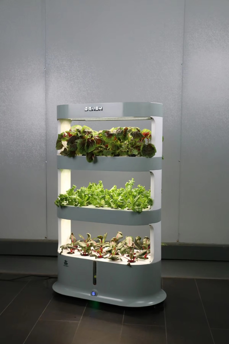 Factory Wholesale Unique Farm  - Hydroponic Farming Agriculture avis et prix