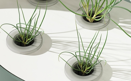 China Quality Agricultural Int - Hydroponic Farming Agriculture avis et prix
