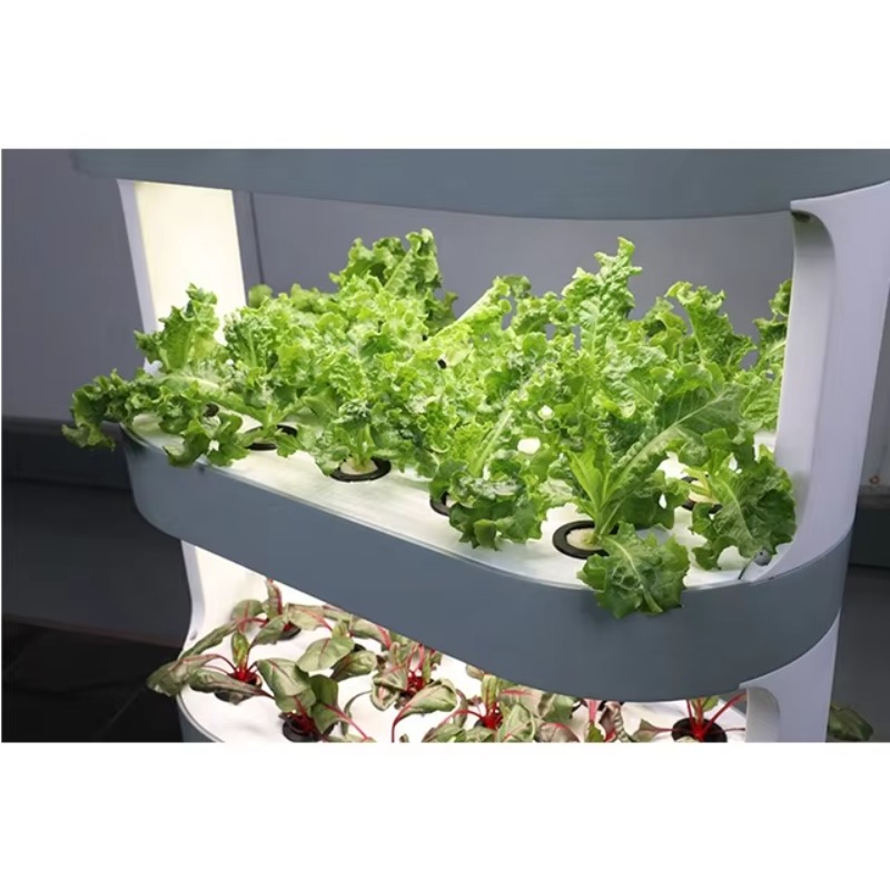 Agricultural Greenhouses Verti - Hydroponic Farming Agriculture avis et prix