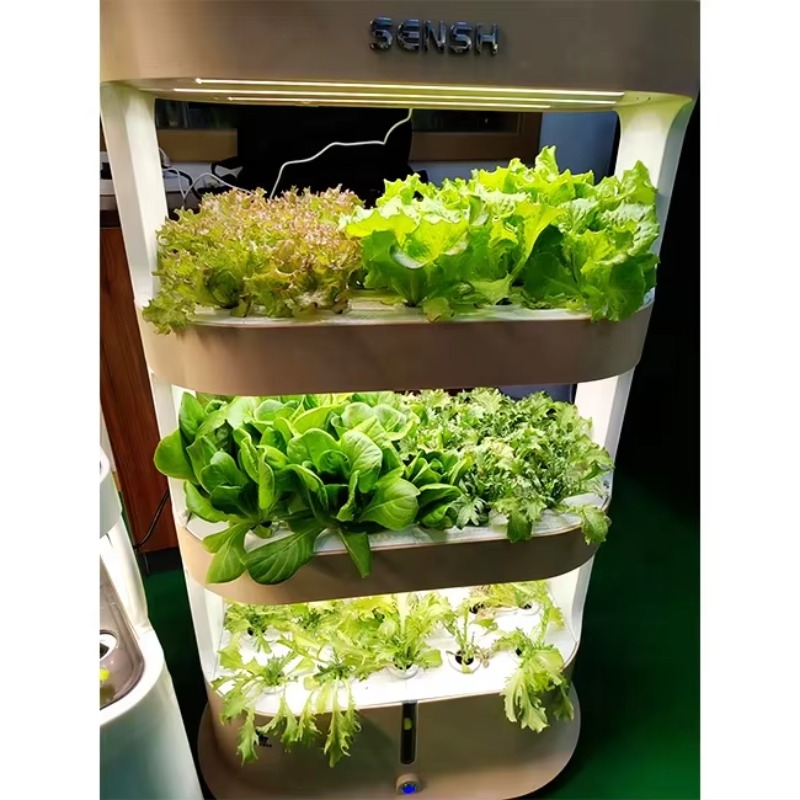 Agricultural Greenhouses Verti - Hydroponic Farming Agriculture avis et prix