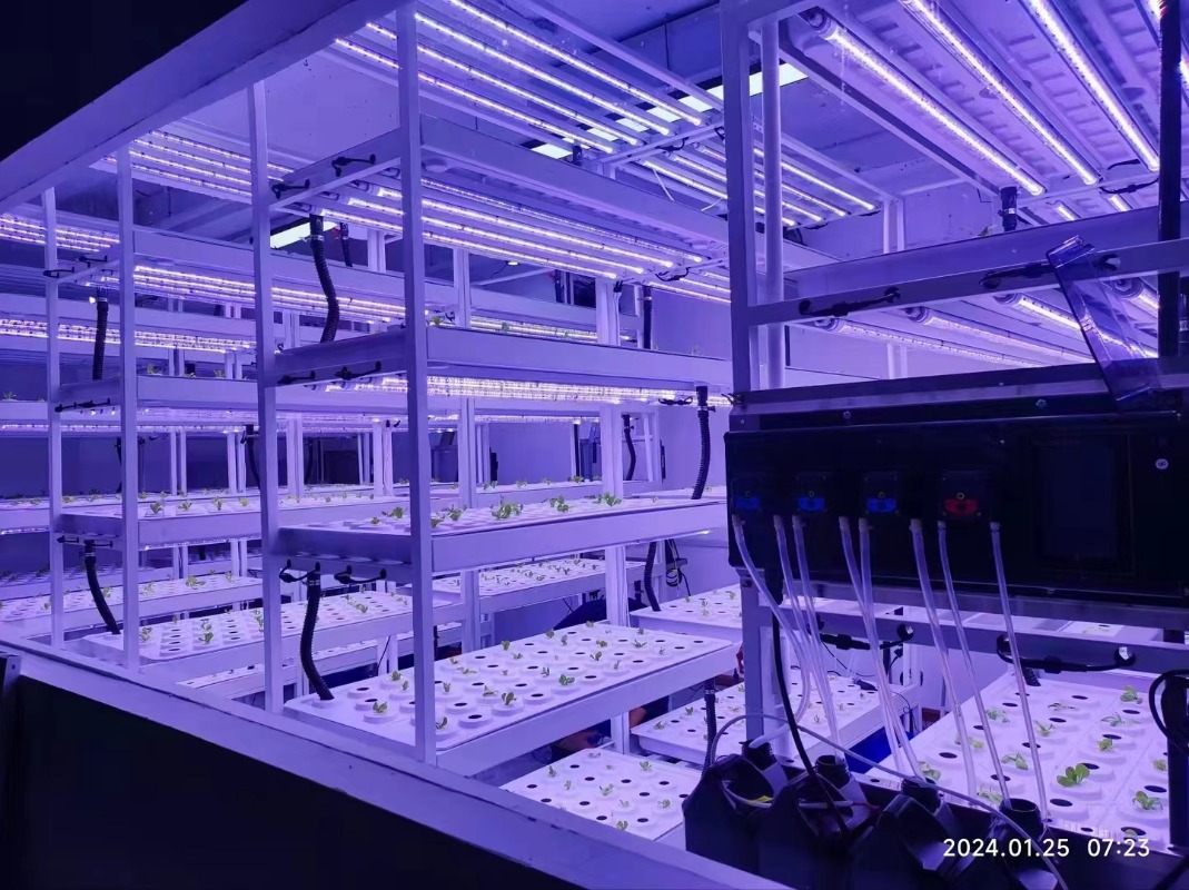 Small Vertical Hydroponic Towe - Hydroponic Farming Agriculture avis et prix