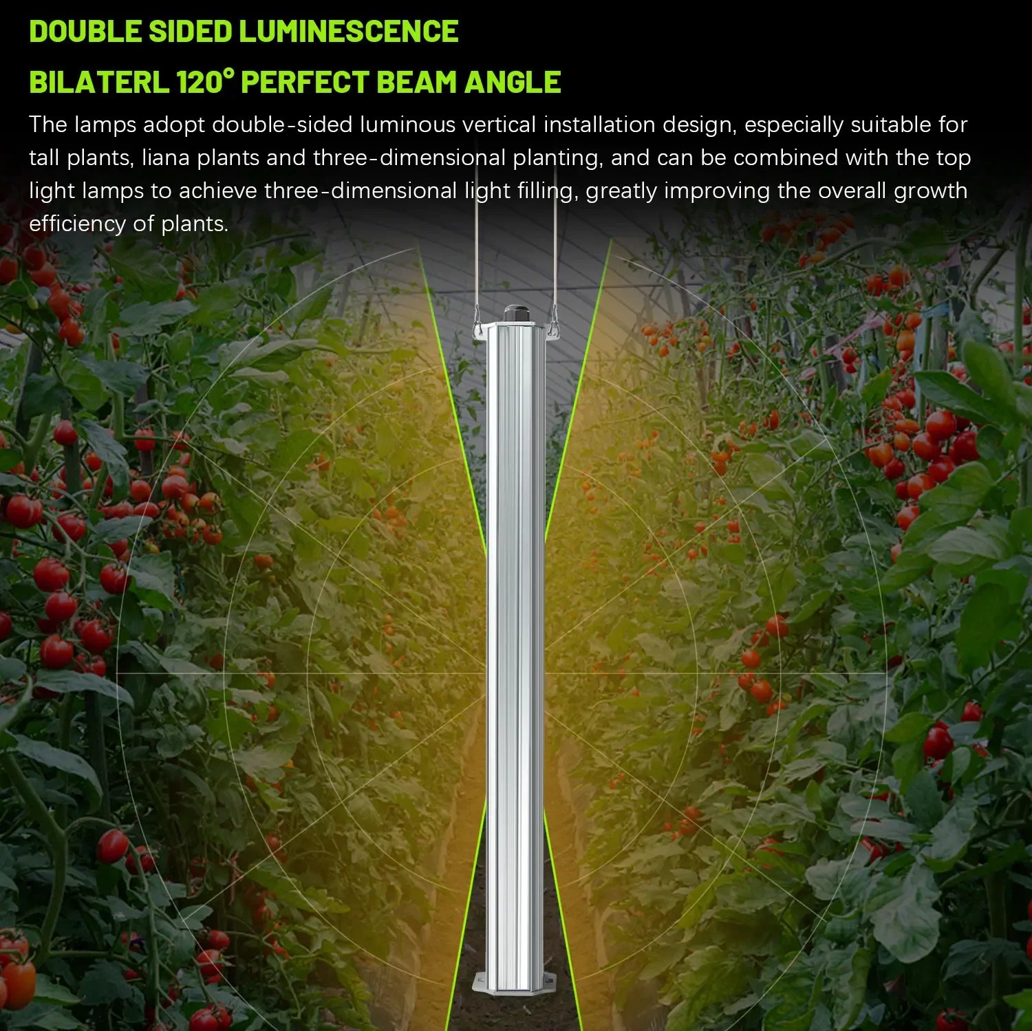 Best ETL Listed Plant Green Wa - Hydroponic Farming Agriculture avis et prix