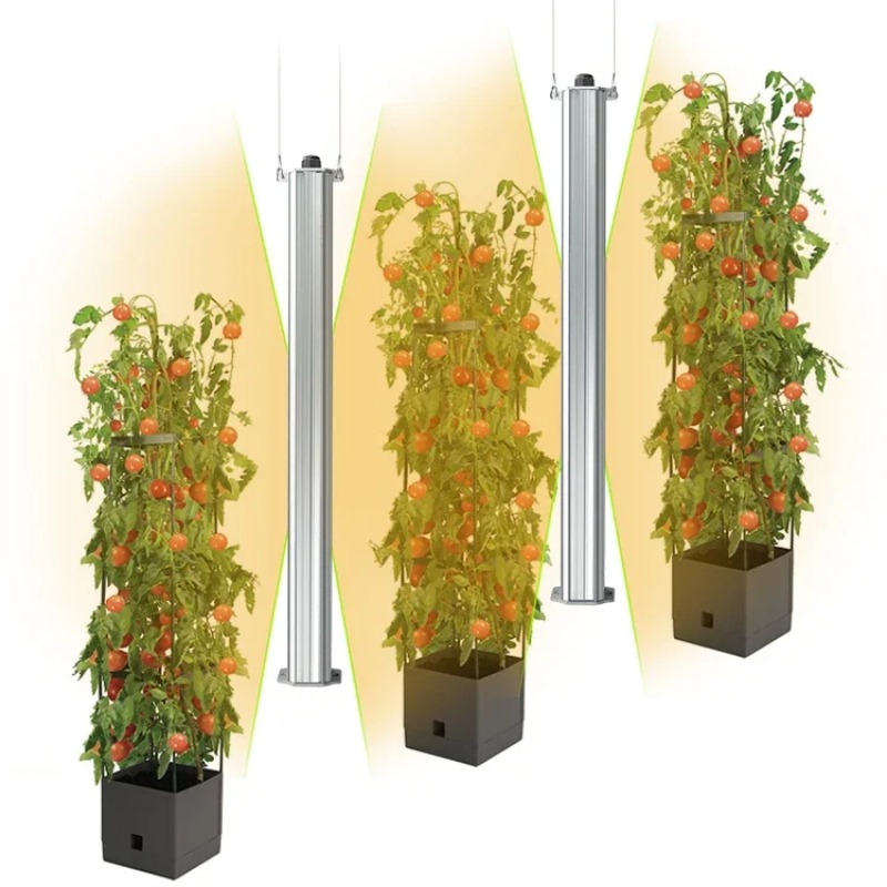 Best ETL Listed Plant Green Wa - Hydroponic Farming Agriculture avis et prix