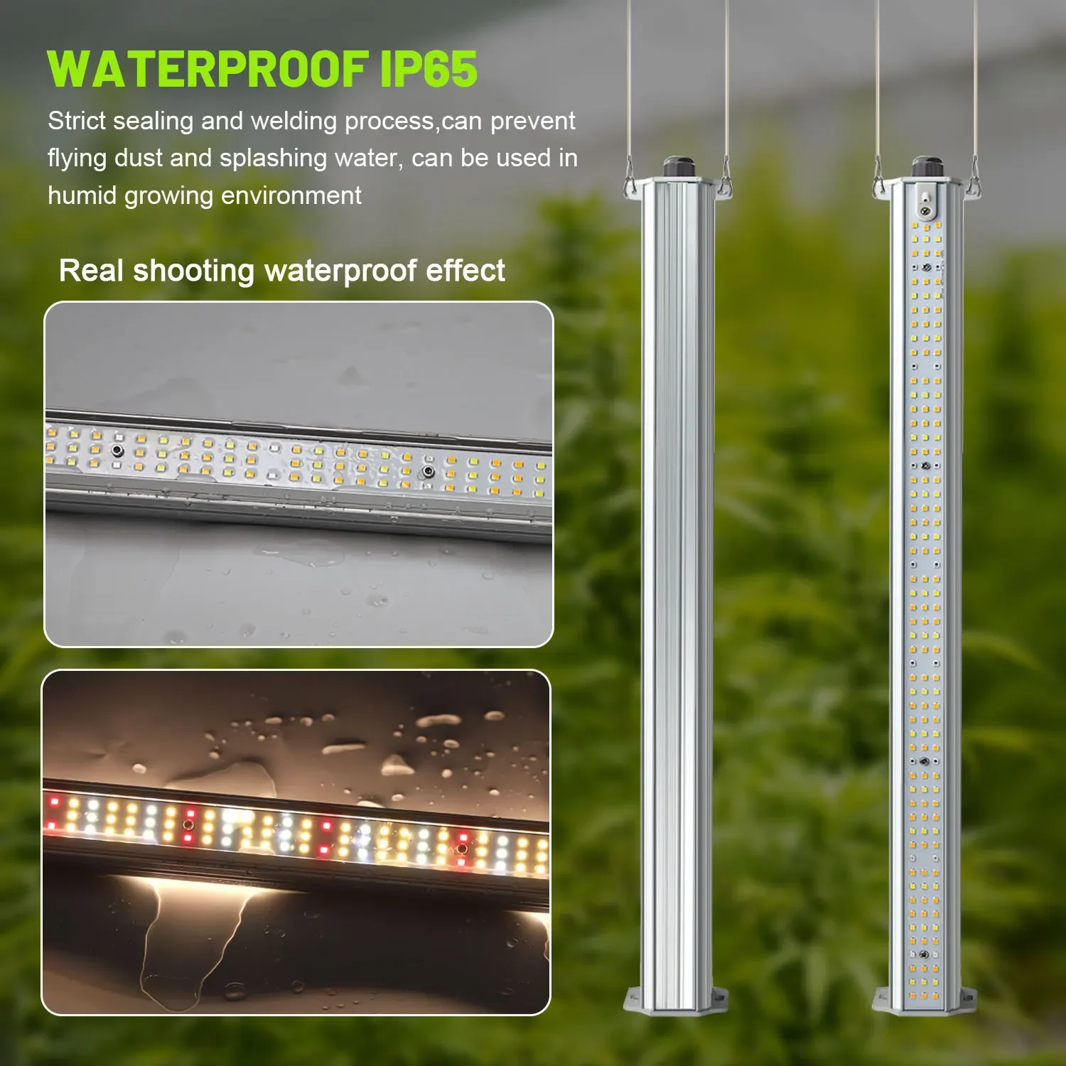 Best ETL Listed Plant Green Wa - Hydroponic Farming Agriculture avis et prix