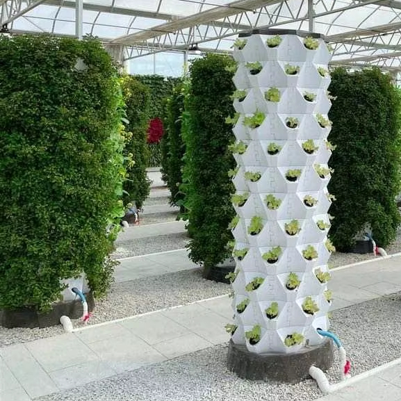 Upgraded Indoor Farming Outdoo - Hydroponic Farming Agriculture avis et prix