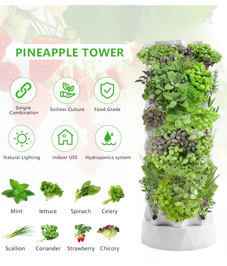Upgraded Indoor Farming Outdoo - Hydroponic Farming Agriculture avis et prix
