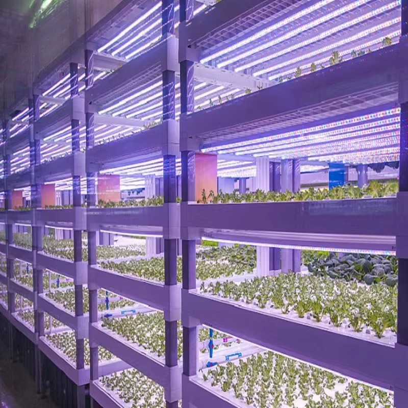 Custom Agricultural Greenhouse - Hydroponic Farming Agriculture avis et prix