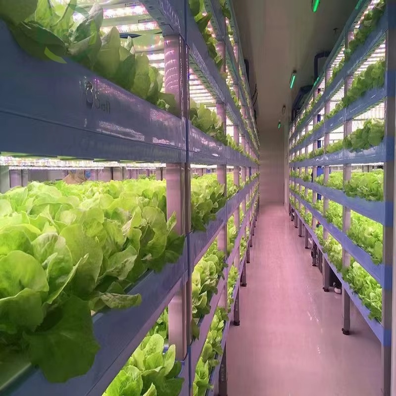 Custom Agricultural Greenhouse - Hydroponic Farming Agriculture avis et prix