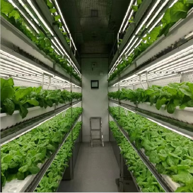 Custom Agricultural Greenhouse - Hydroponic Farming Agriculture avis et prix