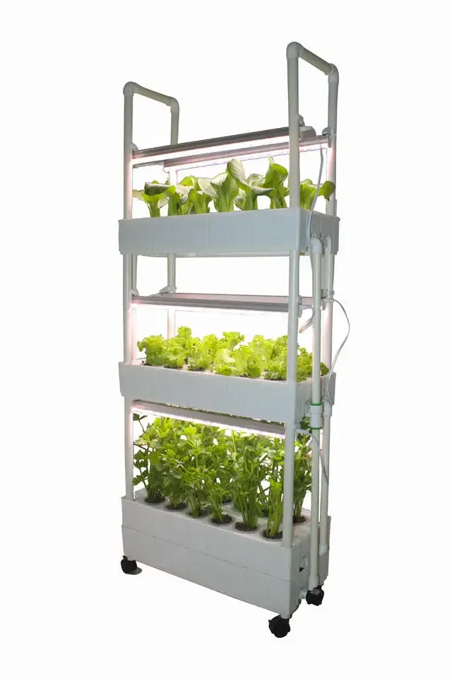 Customization Agriculture hydr - Hydroponic Farming Agriculture avis et prix