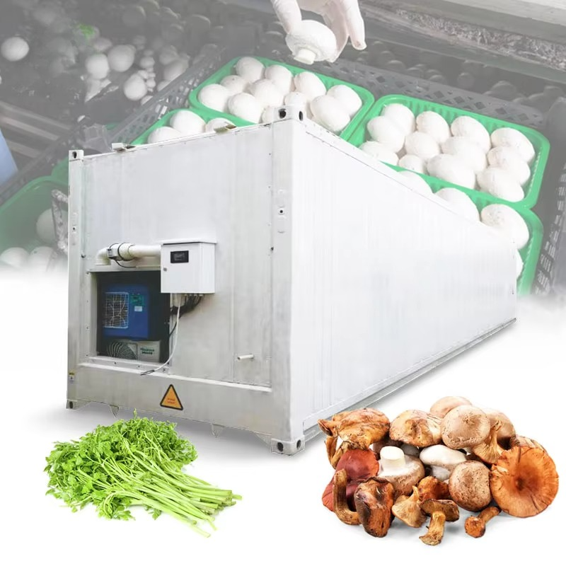 Customized 20ft 40ft Container - Hydroponic Farming Agriculture avis et prix