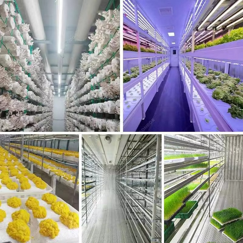 Customized 20ft 40ft Container - Hydroponic Farming Agriculture avis et prix