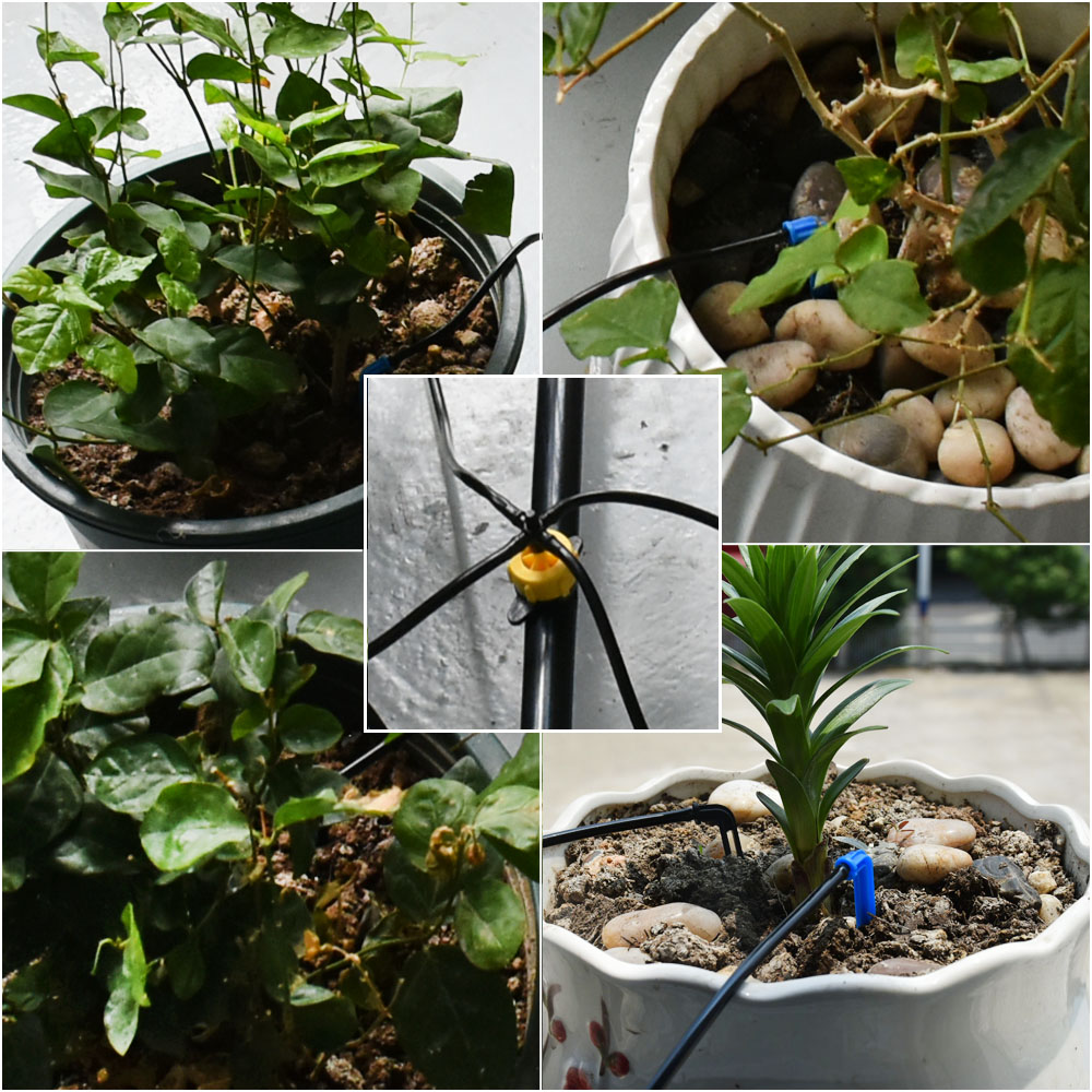 Greenhouse Potted Curved Arrow - Irrigation Drip Tape avis et prix