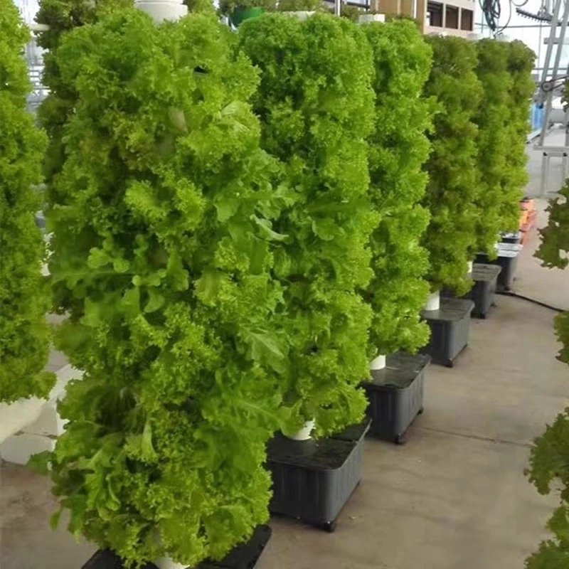 Vertical Hydroponic Growing Sy - Hydroponic Farming Agriculture avis et prix