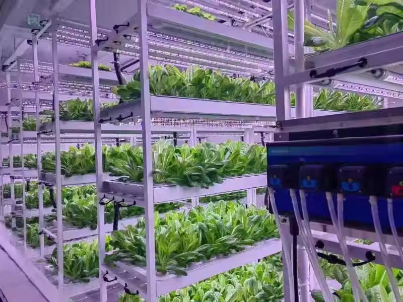 Vertical Farm Hydroponic Tower - Hydroponic Farming Agriculture avis et prix