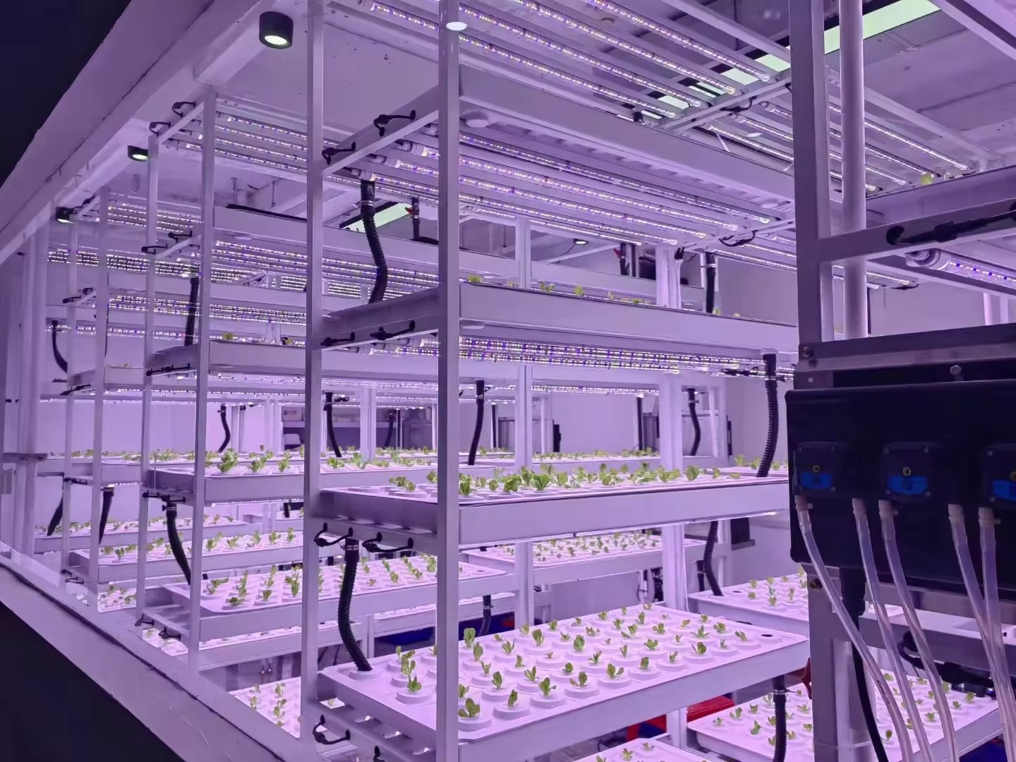 Vertical Farm Hydroponic Tower - Hydroponic Farming Agriculture avis et prix