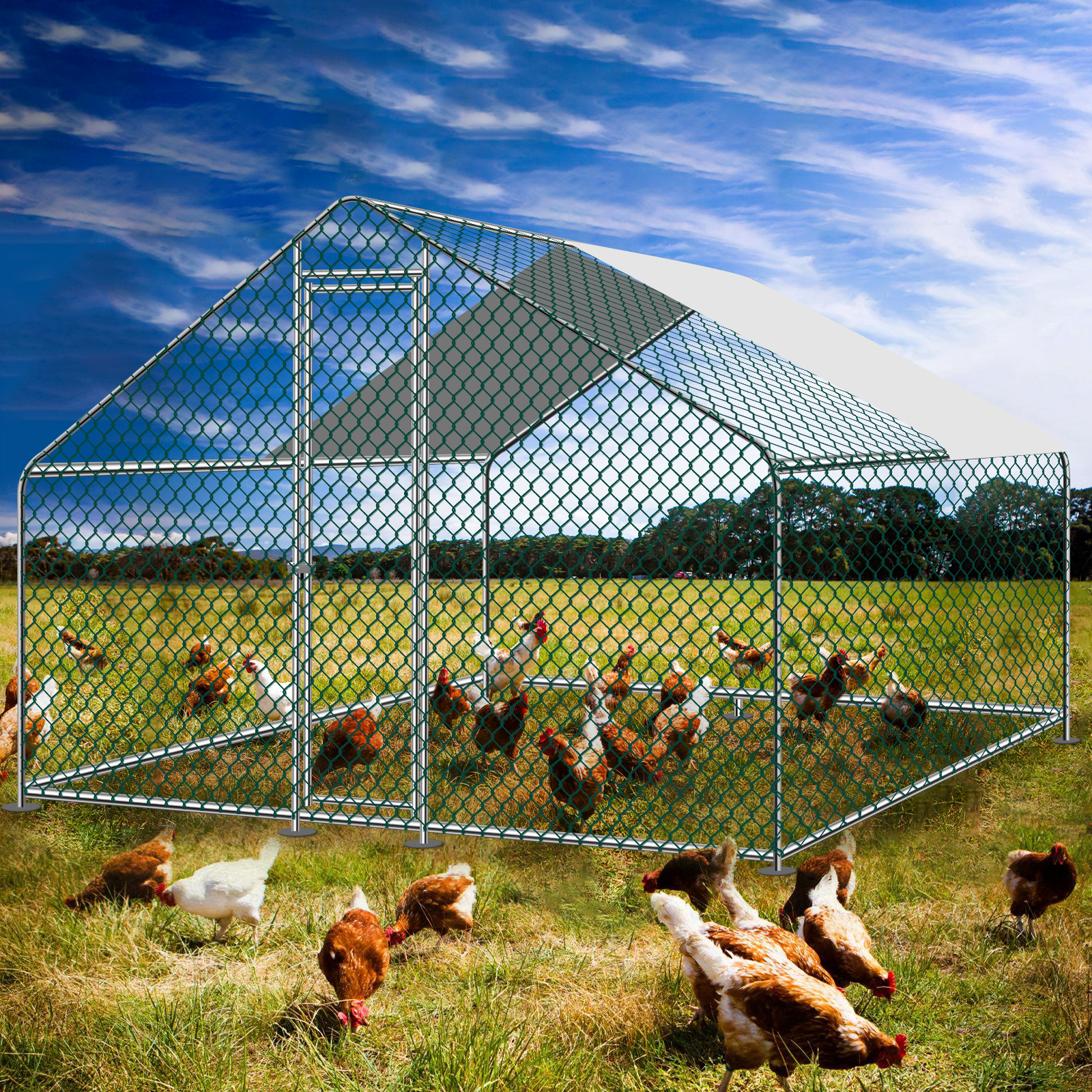 Teousev 10x 10 ft Metal Chicke - Rabbit Cage Wire avis et prix