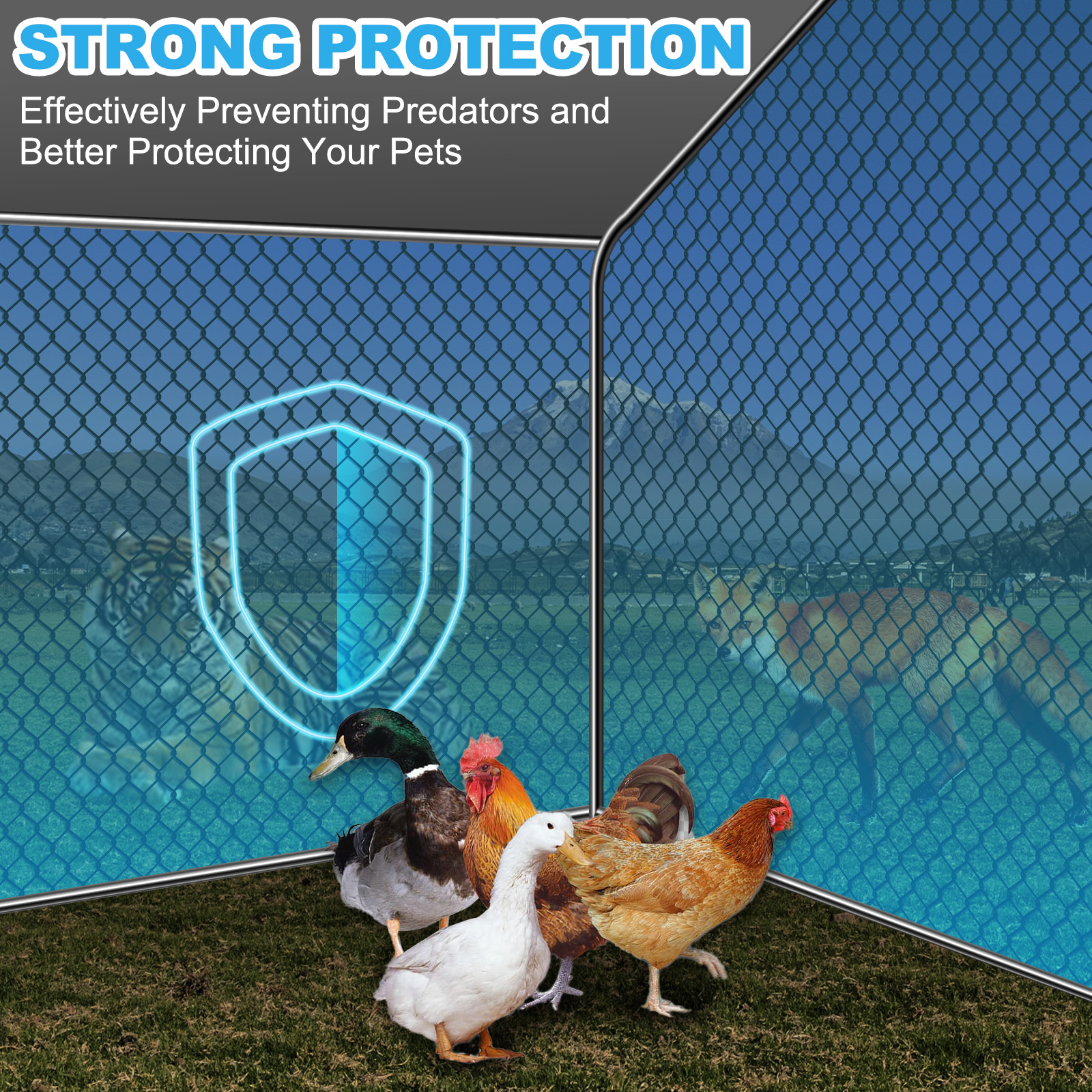 Teousev 10x 10 ft Metal Chicke - Rabbit Cage Wire avis et prix