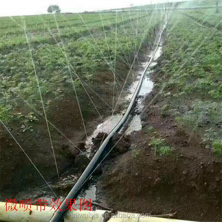 16mm PE Drip Tape Irrigation K - Irrigation Drip Tape avis et prix