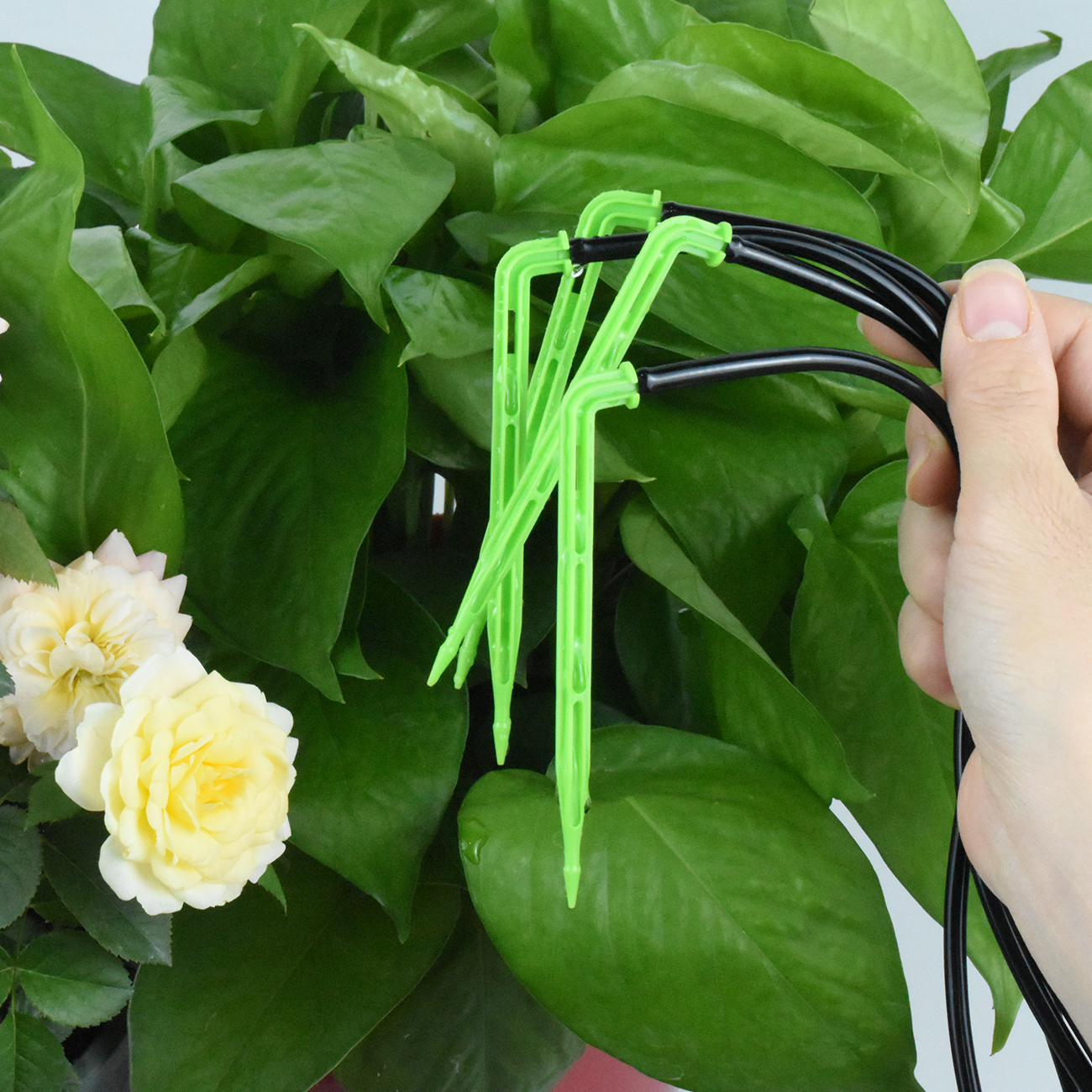 KESLA 25PCS Greenhouse Bend Ar - Irrigation Drip Tape avis et prix