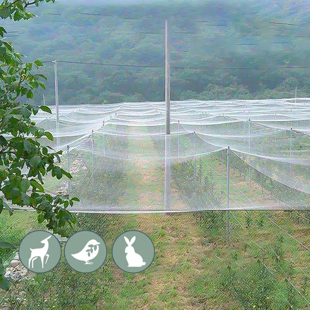 Extra Strong Anti Bird Net Nyl - Rabbit Cage Wire avis et prix