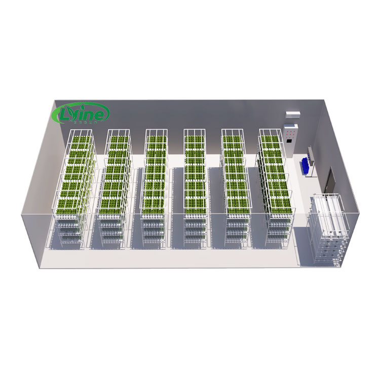 Agricultural Greenhouses Lettu - Hydroponic Farming Agriculture avis et prix