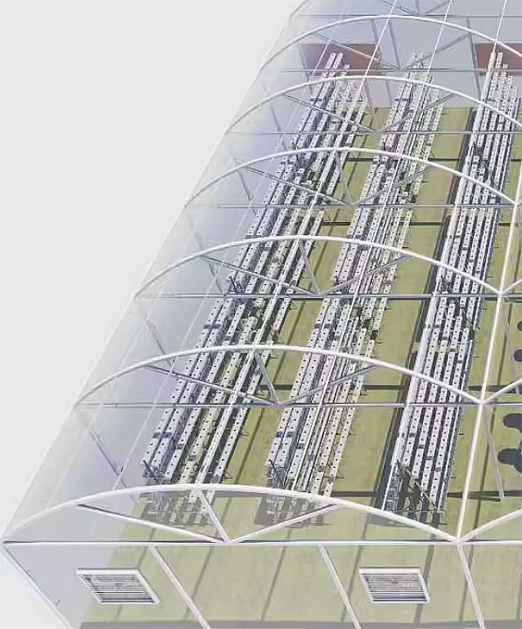 Agricultural Greenhouses Lettu - Hydroponic Farming Agriculture avis et prix